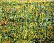 文森特 威廉 梵高 : 开花的牧场